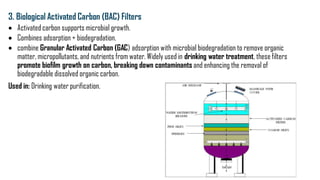 Comprehensive Overview of Biofiltration: Principles, Types, and ...