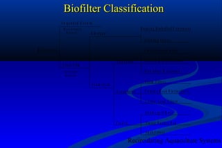 Biofiltration nitrification design overview | PPT