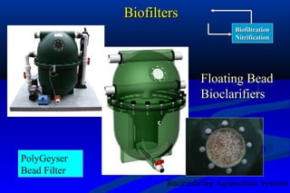 Biofiltration nitrification design overview | PPT
