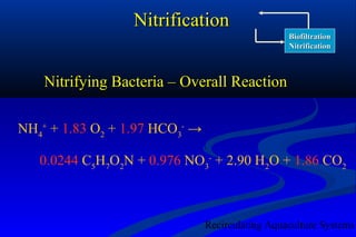 Nitrification O2 Biofiltration nitrification design overview | PPT