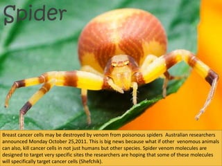 Cancer in Various Animals | PPTX