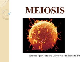 MEIOSIS



Realizado por: Verónica García y Elena Redondo 4ºB
 