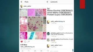 cell growth and mytosis