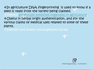 DNA fingerprinting | PPTX
