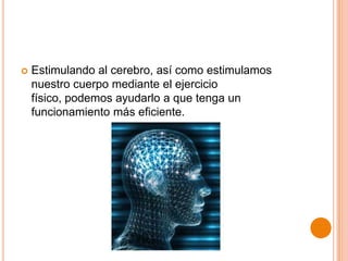 

Estimulando al cerebro, así como estimulamos
nuestro cuerpo mediante el ejercicio
físico, podemos ayudarlo a que tenga un
funcionamiento más eficiente.

 