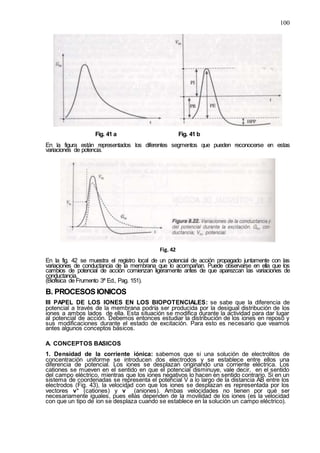 100
Fig. 41 a Fig. 41 b
En la figura están representados los diferentes segmentos que pueden reconocerse en estas
variaciones de potencia.
Fig. 42
En la fig. 42 se muestra el registro local de un potencial de acción propagado juntamente con las
variaciones de conductancia de la membrana que lo acompañan. Puede observarse en ella que los
cambios de potencial de acción comienzan ligeramente antes de que aparezcan las variaciones de
conductancia.
(Biofísica de Frumento 3ª Ed., Pag. 151).
B. PROCESOS IONICOS
III PAPEL DE LOS IONES EN LOS BIOPOTENCIALES: se sabe que la diferencia de
potencial a través de la membrana podría ser producida por la desigual distribución de los
iones a ambos lados de ella. Esta situación se modifica durante la actividad para dar lugar
al potencial de acción. Debemos entonces estudiar la distribución de los iones en reposo y
sus modificaciones durante el estado de excitación. Para esto es necesario que veamos
antes algunos conceptos básicos.
A. CONCEPTOS BASICOS
1. Densidad de la corriente iónica: sabemos que si una solución de electrolitos de
concentración uniforme se introducen dos electrodos y se establece entre ellos una
diferencia de potencial. Los iones se desplazan originando una corriente eléctrica. Los
cationes se mueven en el sentido en que el potencial disminuye, vale decir, en el sentido
del campo eléctrico, mientras que los iones negativos lo hacen en sentido contrario. Si en un
sistema de coordenadas se representa el potencial V a lo largo de la distancia AB entre los
electrodos (Fig. 43), la velocidad con que los iones se desplazan es representada por los
vectores v+
(cationes) y v˜ (aniones). Ambas velocidades no tienen por qué ser
necesariamente iguales, pues ellas dependen de la movilidad de los iones (es la velocidad
con que un tipo de ion se desplaza cuando se establece en la solución un campo eléctrico).
 