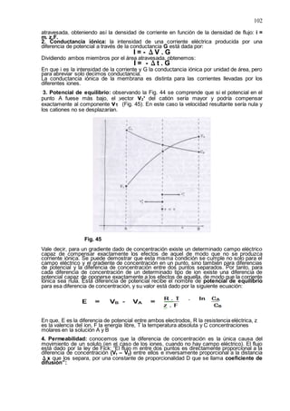 102
atravesada, obteniendo así la densidad de corriente en función de la densidad de flujo: i =
m. z.F.
2. Conductancia iónica: la intensidad de una corriente eléctrica producida por una
diferencia de potencial a través de la conductancia G está dada por:
I = - ΔV . G
Dividiendo ambos miembros por el área atravesada, obtenemos:
I = - Δt . G
En que i es la intensidad de la corriente y G la conductancia iónica por unidad de área, pero
para abreviar solo decimos conductancia.
La conductancia iónica de la membrana es distinta para las corrientes llevadas por los
diferentes iones.
3. Potencial de equilibrio: observando la Fig. 44 se comprende que si el potencial en el
punto A fuese más bajo, el vector v2
+
del catión sería mayor y podría compensar
exactamente al componente v1
˜
(Fig. 45). En este caso la velocidad resultante sería nula y
los cationes no se desplazarían.
Fig. 45
Vale decir, para un gradiente dado de concentración existe un determinado campo eléctrico
capaz de compensar exactamente los efectos de aquel de modo que no se produzca
corriente iónica. Se puede demostrar que esta misma condición se cumple no solo para el
campo eléctrico y el gradiente de concentración en un punto, sino también para diferencias
de potencial y la diferencia de concentración entre dos puntos separados. Por tanto, para
cada diferencia de concentración de un determinado tipo de ion existe una diferencia de
potencial capaz de oponerse exactamente a los efectos de aquella, de modo que la corriente
iónica sea nula. Esta diferencia de potencial recibe el nombre de potencial de equilibrio
para esa diferencia de concentración, y su valor está dado por la siguiente ecuación:
En que, E es la diferencia de potencial entre ambos electrodos, R la resistencia eléctrica, z
es la valencia del ion, F la energía libre, T la temperatura absoluta y C concentraciones
molares en la solución A y B
4. Permeabilidad: conocemos que la diferencia de concentración es la única causa del
movimiento de un soluto (en el caso de los iones, cuando no hay campo eléctrico). El flujo
está dado por la ley de Fick: “El flujo m entre dos puntos es directamente proporcional a la
diferencia de concentración (V1 – V2) entre ellos e inversamente proporcional a la distancia
Δx que los separa, por una constante de proporcionalidad D que se llama coeficiente de
difusión”:
 