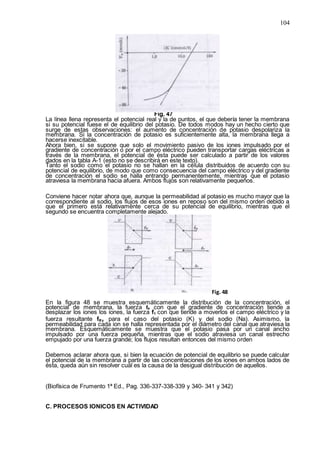 104
Fig. 47
La línea llena representa el potencial real y la de puntos, el que debería tener la membrana
si su potencial fuese el de equilibrio del potasio. De todos modos hay un hecho cierto que
surge de estas observaciones: el aumento de concentración de potasio despolariza la
membrana. Si la concentración de potasio es suficientemente alta, la membrana llega a
hacerse inexcitable.
Ahora bien, si se supone que solo el movimiento pasivo de los iones impulsado por el
gradiente de concentración o por el campo eléctrico pueden transportar cargas eléctricas a
través de la membrana, el potencial de ésta puede ser calculado a partir de los valores
dados en la tabla A-1 (esto no se describirá en este texto).
Tanto el sodio como el potasio no se hallan en la célula distribuidos de acuerdo con su
potencial de equilibrio, de modo que como consecuencia del campo eléctrico y del gradiente
de concentración el sodio se halla entrando permanentemente, mientras que el potasio
atraviesa la membrana hacia afuera. Ambos flujos son relativamente pequeños.
Conviene hacer notar ahora que, aunque la permeabilidad al potasio es mucho mayor que la
correspondiente al sodio, los flujos de esos iones en reposo son del mismo orden debido a
que el primero está relativamente cerca de su potencial de equilibrio, mientras que el
segundo se encuentra completamente alejado.
Fig. 48
En la figura 48 se muestra esquemáticamente la distribución de la concentración, el
potencial de membrana, la fuerza fe con que el gradiente de concentración tiende a
desplazar los iones los iones, la fuerza f1 con que tiende a moverlos el campo eléctrico y la
fuerza resultante fR, para el caso del potasio (K) y del sodio (Na). Asimismo, la
permeabilidad para cada ion se halla representada por el diámetro del canal que atraviesa la
membrana. Esquemáticamente se muestra que el potasio pasa por un canal ancho
impulsado por una fuerza pequeña, mientras que el sodio atraviesa un canal estrecho
empujado por una fuerza grande; los flujos resultan entonces del mismo orden
Debemos aclarar ahora que, si bien la ecuación de potencial de equilibrio se puede calcular
el potencial de la membrana a partir de las concentraciones de los iones en ambos lados de
ésta, queda aún sin resolver cuál es la causa de la desigual distribución de aquellos.
(Biofísica de Frumento 1ª Ed., Pag. 336-337-338-339 y 340- 341 y 342)
C. PROCESOS IONICOS EN ACTIVIDAD
 