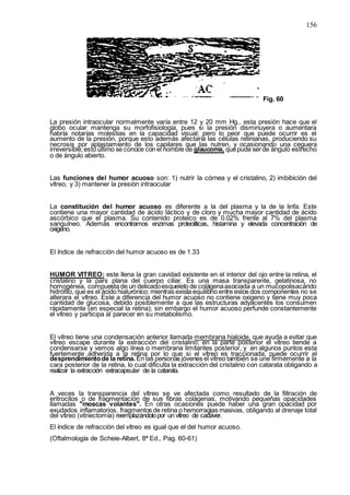 156
Fig. 60
La presión intraocular normalmente varía entre 12 y 20 mm Hg., esta presión hace que el
globo ocular mantenga su morfofisiología, pues si la presión disminuyera o aumentara
habría notarías molestias en la capacidad visual; pero lo peor que puede ocurrir es el
aumento de la presión, porque esto además afectaría las células retinianas, produciendo su
necrosis por aplastamiento de los capilares que las nutren, y ocasionando una ceguera
irreversible;esto último se conoce con el nombre de glaucoma, quepude serde ángulo estrecho
o de ángulo abierto.
Las funciones del humor acuoso son: 1) nutrir la córnea y el cristalino, 2) imbibición del
vítreo, y 3) mantener la presión intraocular
La constitución del humor acuoso es diferente a la del plasma y la de la linfa. Este
contiene una mayor cantidad de ácido láctico y de cloro y mucha mayor cantidad de ácido
ascórbico que el plasma. Su contenido proteico es de 0.02% frente al 7% del plasma
sanguíneo. Además encontramos enzimas proteolíticas, histamina y elevada concentración de
oxigeno.
El índice de refracción del humor acuoso es de 1.33
HUMOR VITREO: este llena la gran cavidad existente en el interior del ojo entre la retina, el
cristalino y la pars plana del cuerpo ciliar. Es una masa transparente, gelatinosa, no
homogénea, compuesta de un delicadoesqueleto de colágenaasociada a un mucopolisacárido
hidrófilo, que es el ácido hialurónico; mientras exista equilibrio entre estos dos componentes no se
alterara el vítreo. Este a diferencia del humor acuoso no contiene oxigeno y tiene muy poca
cantidad de glucosa, debido posiblemente a que las estructuras adyacentes los consumen
rápidamente (en especial la retina); sin embargo el humor acuoso perfunde constantemente
el vítreo y participa al parecer en su metabolismo.
El vítreo tiene una condensación anterior llamada membrana hialoide, que ayuda a evitar que
vítreo escape durante la extracción del cristalino; en la parte posterior el vítreo tiende a
condensarse y vemos algo línea o membrana limitantes posterior, y en algunos puntos esta
fuertemente adherida a la retina por lo que si el vítreo es traccionada, puede ocurrir el
desprendimientode la retina.En las personas jóvenes el vítreo también se une firmemente a la
cara posterior de la retina, lo cual dificulta la extracción del cristalino con catarata obligando a
realizar la extracción extracapsular de la catarata.
A veces la transparencia del vítreo se ve afectada como resultado de la filtración de
eritrocitos o de fragmentación de sus fibras colágenas, motivando pequeñas opacidades
llamadas "moscas volantes". En otras ocasiones puede haber una gran opacidad por
exudados inflamatorios, fragmentos de retina o hemorragias masivas, obligando al drenaje total
del vítreo (vitriectomía) reemplazándolopor un vítreo de cadáver.
El índice de refracción del vítreo es igual que el del humor acuoso.
(Oftalmología de Scheie-Albert, 8ª Ed., Pag. 60-61)
 