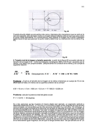 161
Fig. 64
Cuando el punto objeto se encuentra más cerca, interviene otro mecanismo que se verá en la
secciónsiguiente, perode todos modos suimagendeberá hallarse sobre el rayo que pasa sobre
el punto nodal equivalente. En consecuencia, para obtener la imagen de in punto cualquiera
basta trazarel rayo que pasa por el punto nodal y determinar su intersección con la retina (Fig.
65)
Fig. 65
2. Tamaño real de la imagen y tamaño aparente: a partir de la figura 65 se puede calcular el
tamaño de la imagen A´B´. Como los triángulos rectángulos ABN y A´B´N son opuestos por el
vértice, sus lados son proporcionales (despreciando la curvatura de la retina) y se cumple la
siguiente relación:
Problema: ¿Cuál es el tamaño de la imagen en la retina si tenemos un cuerpo de 10 cm de
altura que se halla a 6 metros de la superficie anterior de la córnea?
A´B´= 10 cm x 1,7cm / 600 cm + 0,5 cm = 17 / 600,5 = 0,028 cm
Problema: calcular la potencia total del globo ocular
P = 1 / 0.015 = 65 dioptrías
Si a dos personas se les muestra el mismo objeto (por ejemplo, un segmento vertical) a
diferentes distancias (Por Ej.: a 1 mt una y a 2 mt la otra) y luego se les pregunta de qué tamaño
vieron el objeto, se comprueba que las dos personas tamaños muy cercanos. Sin embargo, el
tamaño de la imagen formada en la retina de uno de ellos es diferente (en este caso, el doble) de
la correspondiente al otro. Si ambos “han visto” el objeto de igual tamaño, ello se debe a que en
la apreciación intervienen otros factores de tipo sicológico, como la comparación con la imagen
de otros objetos cercanos de tamaño conocido,la estimaciónde la distancia a que se encuentre
el objeto, la apreciación de detalles, etc. Por otra parte, cuando dos personas ven un mismo
objeto a la mismadistancia, pero faltando estos elementos de comparación /como ocurre cuando
se observa un barco a la distancia, un avión en vuelo, etc.), ocurre con frecuencia que ambas
afirman ver el objeto de tamaños diferentes, a pesar de que en este caso las imágenes formadas
en la retina tienen igual magnitud. De ahí que no tenga sentido decir “de qué tamaño se ve” un
 
