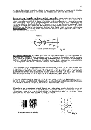 164
encontrar fácilmente manchas ciegas o escotomas, inclusive la mancha de Mariotte
(escotoma fisiológico), que se encuentra a la mitad del lado temporal del campo.
La agudeza visualo poder resolutivoocular: es la capacidad que tiene el ojo
de ver los objetas más pequeños. La agudeza visual es propia de la porción central de la
retina, más exactamente de la fóvea, porque ella está formada solo por conos y cada cono
está conectado a una célula ganglionar propia, resultando en aquel sitio, una imagen con
mayor cantidad de detalles (máximo de nitidez); esto es lo que llamamos agudeza visual
central. Los objetos que percibamos con el resto de la retina poseen menor número de detalles,
los mismos que disminuyen conforme nos alejamos de la fóvea, y esto es los que se denomina
visión periférica, la cual nos ayuda para dirigirnos al caminar y no tropezar con las cosas, y
para orientarnos en el espacio.
Fig. 69
Agudeza visual normal: es cuando un individuo es capaz de distinguir 2 puntos separados por
un ángulo de 1 minuto. Si éste ángulo es menor a 1 minuto, la percepción será de uno y no
de 2 puntos. El ángulo de 1 minuto corresponde al determinado por dos puntos cuya separación es
de 3 mm y ubicado a una distancia de 10 metros; y si es de un solo cuerpo, este debe tener
0.29 mm y estar colocado a 1 metro de distancia para poder distinguirlo.
Cuando mayor sea el ángulo exigible para diferenciar dos puntos a la vez, tanto menos será
la agudeza visual. Según Snellen, la agudeza visual debe expresarse por el inverso del
ángulo mínimo necesario para diferenciar 2 puntos a la vez. Entonces, un ojo que necesita
que le objeto forme sobre la retina una imagen correspondiente a un ángulo de 3 minutos,
tendrá una agudeza de 1/3; si el ángulo es de 4, tendrá una agudeza de 1/4, etc.
A medida que el objeto se aleja del ojo, el ángulo visual formado se va haciendo menor, y
por ello el objeto se va haciendo más pequeño. La relación que existe entre el tamaño real de
un objeto y su distancia del ojo, se llama tamaño aparente del objeto.
Mecanismo de la agudeza visual (Teoría de Helmholtz): según Helmholtz, como los
conos de la fóvea se disponen apretadamente obligando a formar un mosaico de células
hexagonales, para tener una visión distinta de los puntos separados, es necesario que se
estimulen a la vez en la retina2 conos NO contiguos (A y B).
Fig. 70
 
