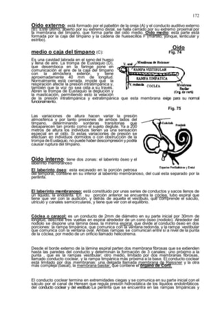 172
Oído externo: está formado por el pabellón de la oreja (A) y el conducto auditivo externo
(B). Este último, abierto por su extremo distal, se halla cerrado por su extremo proximal por
la membrana del tímpano, que forma parte del oído medio. Oído medio: esta parte está
formada por la caja del tímpano y la cadena de huesecillos F (martillo, yunque, lenticular y
estribo).
Oído
medio o caja del tímpano (C): Fig. 74
Es una cavidad labrada en el seno del hueso
y llena de aire. La trompa de Eustaquio (D),
que desemboca en la faringe pone en
comunicación el aire de la caja del tímpano
con la atmósfera exterior, y tiene
aproximadamente 40 mm de longitud.
Normalmente está cerrada, impide que la
respiración afecte la presión intratimpánica y,
también que la voz no sea oída a su través.
Abren la trompa de Eustaquio la deglución y
la masticación, permitiendo esto la velación
de la presión intratimpánica y extratimpánica que esta membrana exige para su normal
funcionamiento.
Fig. 75
Las variaciones de altura hacen variar la presión
atmosférica y por tanto presiones de ambos lados del
tímpano, determinando sorderas transitorias que
desaparecen tan pronto como el sujeto deglute. Ya a 200
metros de altura los individuos tienen ya una sensación
especial en el oído. Si estas variaciones de presión se
efectúan en individuos dormidos o con obstrucción de la
trompa de Eustaquio, no puede haberdescompresión y podría
causar ruptura del tímpano.
Oído interno: tiene dos zonas: el laberinto óseo y el
laberinto membranoso
El laberinto óseo: esta excavado en la porción petrosa
del temporal, contiene en su inferior al laberinto membranoso, del cual esta separado por la
perilinfa.
El laberinto membranoso: está constituido por unas series de conductos y sacos llenos de
un líquido, la endolinfa. En su porción anterior se encuentra la cóclea, tubo espiral que
tiene que ver con la audición, y detrás de aquella el vestíbulo, que comprende el sáculo,
utrículo y canales semicirculares, y tiene que ver con el equilibrio.
Cóclea o caracol: es un conducto de 2mm de diámetro en su parte inicial por 30mm de
longitud, describe tres vueltas en espiral alrededor de un cono óseo (nodiolo). Alrededor del
nodiolo se dispone una lámina ósea, la mínima espiral, que divide al conducto óseo en dos
porciones: la rampa timpánica, que comunica con la ventana redonda, y la rampa vestibular
que comunica con la ventana oval. Ambas rampas se comunican entre sí a nivel de la punta
de la cóclea, por medio de un orificio llamado helicotrema.
Desde el borde externo de la lámina espiral parten dos membrana fibrosas que se extienden
hasta las paredes del conducto y determinan la formación de 3 canales; uno próximo a la
punta , que es la rampas vestibular; otro medio, limitado por dos membranas fibrosas,
llamado conducto coclear, y la rampa timpánica más próxima a la base. El conducto coclear
está limitado por dos membranas: una delgada llamada membrana de Reissner y la otra
más compleja (basal), la membrana basilar, que contiene el órgano de Corti.
El conducto coclear termina en extremidades ciegas y se comunica en su parte inicial con el
sáculo por el canal de Hensen que regula presión hidrostática de los líquidos endolinfáticos
del conducto coclear y del vestíbulo La perilinfa que se encuentra en las rampas timpánicas y
 