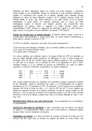24
fácilmente con fibras simplemente fijadas con alcohol. Las zonas isótropas y anisótropas
existen también en las protofibrillas. Durante la contracción la zona anisótropa disminuye de
longitud. La anisotropía sería causada por la miosina, globulina cuyas moléculas estarían
dispuestas en forma de largos filamentos paralelos. En el segmento isótropo estaría otra
proteína fibrilar, la actina, cuya doble refracción es de signo opuesto al de la miosina,
neutralizando su poder óptico. La estriación anisótropa, que se colora con ácido
fosfotúngstico cuando el músculo está relajado, presenta una concentración local
principalmente de potasio, calcio y magnesio. La banda isótropa parece tener
adinosintrifosfato (ATP). Durante la contracción los electrolitos migran a la zona isótropa y
luego vuelven a su posición de reposo (Biofísica de Cicardo 7ª Ed. Pag637).
Fuentes de energía para el trabajo muscular: el músculo obtiene energía a partir de la
fosforilcreatina, adenosintrifosfato y ácidos grasos libre. En reposo utiliza la fosforilcreatina y
ácidos grasos y durante el ejercicio el ATP.
El ATP es un trifosfato nucleósido que consta de tres partes fundamentales:
1) Una base que posee nitrógeno (Adenina), que se encuentra también en los ácidos nucleicos.
2) Un azúcar de 5 carbonos llamado ribosa.
3) Un grupo fosfato (inorgánico)
Los enlaces químicos que mantienen unidos a los grupos fosfato de ATP son inestables, ya
que por simple hidrólisis quedan deshechos. AI hidrolizarse el ATP, se libera energía (7.3
Kcal/mol), parte de ella irá a formar nuevos enlaces (Síntesis orgánica) y otra se transforma
en calor que va al entorno. Así, la molécula de ATP se irá degradando en ADP y AMP,
otorgando energía; a su vez, mediante un proceso de fosforilación con ayuda de enzimas
específicas se revertirá el fenómeno restituyéndose los enlaces energéticos.
ATP + H2O ---------- ADP + P + energía
ADP + H2O ---------- AMP + P + energía
AMP + P + energía ------------ ADP
ADP + P + energía ------------ ATP
Esta energía química proviene casi totalmente del catabolismo aeróbico (respiración aeróbica)
de los nutrimentos, donde el mecanismo más usado es el desdoblamiento de la glucosa,
formándose de 36 a 38 moléculas de ATP. Si quemamos 1 mol de glucosa en un calorímetro,
logramos 686 Kcal en forma de calor, y si 1 mol de ATP nos da 7.3 Kcal., significa que
durante la respiración aeróbica de la glucosa tendríamos un total de energía aeróbica de 263
Kcal (7.3 x 36); de aquí que, la eficacia de la respiración aeróbica es de solo el 38% del total
(263/686), el resto de la energía se pierde como calor en el entorno (Biología de Villee, 3ª Ed.,
Pag. 164)
PROPIEDADES FÍSICAS DE LOS MÚSCULOS.- Son esencialmente dos: la elasticidad y
la contractibilidad.
MUSCULO AISLADO EN REPOSO: la única característica que nos interesa del músculo
en reposo es su comportamiento elástico, razón por la cual veremos a continuación algunas
nociones físicas sobre la elasticidad a la tracción.
Elasticidad a la tracción: si se aplica una fuerza de tracción, al extremo de un hilo cuyo otro
extremo está fijo, aquel sufre un aumento de longitud Δl. Dentro de ciertos límites, este
 