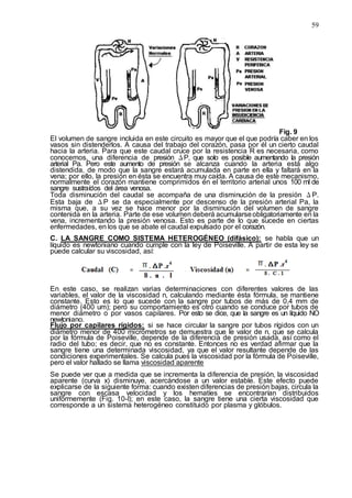 59
Fig. 9
El volumen de sangre incluida en este circuito es mayor que el que podría caber en los
vasos sin distenderlos. A causa del trabajo del corazón, pasa por él un cierto caudal
hacia la arteria. Para que este caudal cruce por la resistencia R es necesaria, como
conocemos, una diferencia de presión ΔP, que solo es posible aumentando la presión
arterial Pa. Pero este aumento de presión se alcanza cuando la arteria está algo
distendida, de modo que la sangre estará acumulada en parte en ella y faltará en la
vena; por ello, la presión en ésta se encuentra muy caída. A causa de este mecanismo,
normalmente el corazón mantiene comprimidos en el territorio arterial unos 100 ml de
sangre sustraídos del área venosa.
Toda disminución del caudal se acompaña de una disminución de la presión ΔP.
Esta baja de ΔP se da especialmente por descenso de la presión arterial Pa, la
misma que, a su vez se hace menor por la disminución del volumen de sangre
contenida en la arteria. Parte de ese volumen deberá acumularseobligatoriamente en la
vena, incrementando la presión venosa. Esto es parte de lo que sucede en ciertas
enfermedades, en los que se abate el caudal expulsado por el corazón.
C. LA SANGRE COMO SISTEMA HETEROGÉNEO (difásico): se habla que un
líquido es newtoniano cuando cumple con la ley de Poiseville. A partir de esta ley se
puede calcular su viscosidad, así:
En este caso, se realizan varias determinaciones con diferentes valores de las
variables, el valor de la viscosidad n, calculando mediante ésta fórmula, se mantiene
constante. Esto es lo que sucede con la sangre por tubos de más de 0,4 mm de
diámetro (400 um); pero su comportamiento es otro cuando se conduce por tubos de
menor diámetro o por vasos capilares. Por esto se dice, que la sangre es un líquido NO
newtoniano.
Flujo por capilares rígidos: si se hace circular la sangre por tubos rígidos con un
diámetro menor de 400 micrómetros se demuestra que le valor de n, que se calcula
por la fórmula de Poiseville, depende de la diferencia de presión usada, así como el
radio del tubo; es decir, que no es constante. Entonces no es verdad afirmar que la
sangre tiene una determinada viscosidad, ya que el valor resultante depende de las
condiciones experimentales. Se calcula pues la viscosidad por la fórmula de Poiseville,
pero el valor hallado se llama viscosidad aparente
Se puede ver que a medida que se incrementa la diferencia de presión, la viscosidad
aparente (curva x) disminuye, acercándose a un valor estable. Este efecto puede
explicarse de la siguiente forma: cuando existen diferencias de presión bajas, circula la
sangre con escasa velocidad y los hematíes se encontrarían distribuidos
uniformemente (Fig. 10-I); en este caso, la sangre tiene una cierta viscosidad que
corresponde a un sistema heterogéneo constituido por plasma y glóbulos.
 