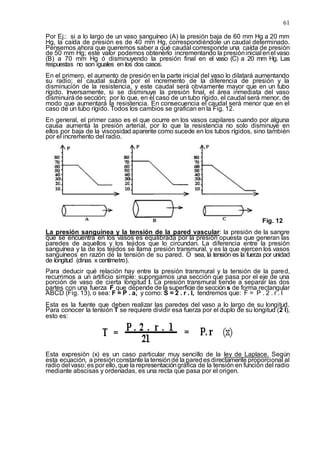 61
Por Ej.: si a lo largo de un vaso sanguíneo (A) la presión baja de 60 mm Hg a 20 mm
Hg, la caída de presión es de 40 mm Hg, correspondiéndole un caudal determinado.
Pensemos ahora que queremos saber a qué caudal corresponde una caída de presión
de 50 mm Hg; este valor podemos obtenerlo incrementando la presióninicial enel vaso
(B) a 70 mm Hg ó disminuyendo la presión final en el vaso (C) a 20 mm Hg. Las
respuestas no son iguales en los dos casos.
En el primero, el aumento de presión en la parte inicial del vaso lo dilatará aumentando
su radio; el caudal subirá por el incremento de la diferencia de presión y la
disminución de la resistencia, y este caudal será obviamente mayor que en un tubo
rígido. Inversamente, si se disminuye la presión final, el área inmediata del vaso
disminuiráde sección; por lo que, en el caso de un tubo rígido, el caudal será menor, de
modo que aumentará la resistencia. En consecuencia el caudal será menor que en el
caso de un tubo rígido. Todos los cambios se grafican en la Fig. 12.
En general, el primer caso es el que ocurre en los vasos capilares cuando por alguna
causa aumenta la presión arterial, por lo que la resistencia no solo disminuye en
ellos por baja de la viscosidad aparente como sucede en los tubos rígidos, sino también
por el incremento del radio.
Fig. 12
La presión sanguínea y la tensión de la pared vascular: la presión de la sangre
que se encuentra en los vasos es equilibrada por la presión opuesta que generan las
paredes de aquellos y los tejidos que lo circundan. La diferencia entre la presión
sanguínea y la de los tejidos se llama presión transmural, y es la que ejercen los vasos
sanguíneos en razón de la tensión de su pared. O sea, la tensión es la fuerza por unidad
de longitud (dinas x centímetro).
Para deducir qué relación hay entre la presión transmural y la tensión de la pared,
recurrimos a un artificio simple: supongamos una sección que pasa por el eje de una
porción de vaso de cierta longitud l. La presión transmural tiende a separar las dos
partes con una fuerza F que depende de la superficie de sección s de forma rectangular
ABCD (Fig. 13), o sea: F = P . a, y como: S = 2 . r . l, tendremos que: F = P . 2 . r . l
Esta es la fuente que deben realizar las paredes del vaso a lo largo de su longitud.
Para conocer la tensión T se requiere dividir esa fuerza por el duplo de su longitud (2 l),
esto es:
Esta expresión (x) es un caso particular muy sencillo de la ley de Laplace. Según
esta ecuación, a presiónconstante la tensiónde la paredes directamente proporcional al
radio del vaso; es por ello, que la representacióngráfica de la tensión en función del radio
mediante abscisas y ordenadas, es una recta que pasa por el origen.
 