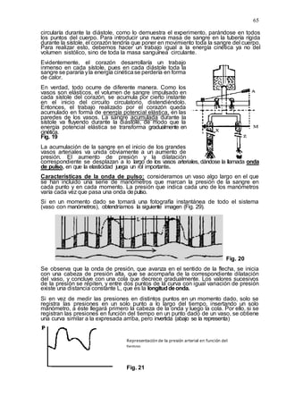 65
circularía durante la diástole, como lo demuestra el experimento, parándose en todos
los puntos del cuerpo. Para introducir una nueva masa de sangre en la tubería rígida
durante la sístole, el corazón tendría que poner en movimiento toda la sangre del cuerpo.
Para realizar esto, debemos hacer un trabajo igual a la energía cinética ya no del
volumen sistólico, sino de toda la masa sanguínea circulante.
Evidentemente, el corazón desarrollaría un trabajo
inmenso en cada sístole, pues en cada diástole toda la
sangre se pararía yla energía cinéticase perdería en forma
de calor.
En verdad, todo ocurre de diferente manera. Como los
vasos son elásticos, el volumen de sangre impulsado en
cada sístole del corazón, se acumula por cierto instante
en el inicio del circuito circulatorio, distendiéndolo.
Entonces, el trabajo realizado por el corazón queda
acumulado en forma de energía potencial elástica, en las
paredes de los vasos. La sangre acumulada durante la
sístole va fluyendo durante la diástole, de modo que la
energía potencial elástica se transforma gradualmente en
cinética.
Fig. 19
La acumulación de la sangre en el inicio de los grandes
vasos arteriales va unida obviamente a un aumento de
presión. El aumento de presión y la dilatación
correspondiente se desplazan a lo largo de los vasos arteriales, dándose la llamada onda
de pulso, en que la elasticidad juega un rol importante.
Características de la onda de pulso: consideramos un vaso algo largo en el que
se han incluido una serie de manómetros que marcan la presión de la sangre en
cada punto y en cada momento. La presión que indica cada uno de los manómetros
varía cada vez que pasa una onda depulso.
Si en un momento dado se tomará una fotografía instantánea de todo el sistema
(vaso con manómetros), obtendríamos la siguiente imagen (Fig. 29).
Fig. 20
Se observa que la onda de presión, que avanza en el sentido de la flecha, se inicia
con una cabeza de presión alta, que se acompaña de la correspondiente dilatación
del vaso, y concluye con una cola que decrece gradualmente. Los valores sucesivos
de la presión se repiten, y entre dos puntos de la curva con igual variación de presión
existe una distancia constante L, que es la longituddeonda.
Si en vez de medir las presiones en distintos puntos en un momento dado, solo se
registra las presiones en un solo punto a lo largo del tiempo, insertando un solo
manómetro, a éste llegará primero la cabeza de la onda y luego la cola. Por ello, si se
registran las presiones en función del tiempo en un punto dado de un vaso, se obtiene
una curva similar a la expresada arriba, pero invertida (abajo se la representa)
Fig. 21
Representación de la presión arterial en función del
tiempo
 