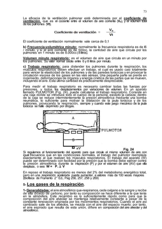 73
La eficacia de la ventilación pulmonar está determinada por el coeficiente de
ventilación, que es el cociente entre el volumen de aire corriente (Vo), y el volumen total
de los pulmones (Vt).
El coeficiente de ventilación normalmente vale cerca de 0,1
b) Frecuencia-volumétrica minuto: normalmente la frecuencia respiratoria es de l6
/ minuto, y si el airé corriente es de 500cc, la cantidad de aire que circula por los
pulmones en 1 minuto es de 8.000cc(8litros).
Volumen minuto respiratorio: es el volumen de aire que circula en un minuto por
los pulmones. Su valor normal oscila entre 6 y 8 litros por minuto.
c) Trabajo respiratorio: para distender los pulmones durante la respiración, los
músculos respiratorios deben efectuar un trabajo, el cual es usado casi totalmente
para vencer la elasticidad de los pulmones y de las paredes torácicas y en provocar la
circulación viscosa de los gases en las vías aéreas. Una pequeña parte se pierde en
rozamiento, deformaciones de órganos y energía cinética de las partes que se mueven,
incluyendo el aire. Esta última cantidad es prácticamente despreciable.
Para medir el trabajo respiratorio es necesario cambiar todas las fuerzas por
presiones, y todos los desplazamientos por variaciones de volumen. En un aparato
llamado PULMOTOR (Fig. 24), puede calcularse el trabajo respiratorio. Consiste en
una caja donde se introduce todo el cuerpo de la persona, excepto la cabeza; dentro
de la caja se reduce intermitentemente la presión atmosférica mediante una bomba
neumática, lo suficiente para motivar la dilatación de la jaula torácica y de los
pulmones, provocando la respiración, siempre y cuando este juego mecánico de la jaula
torácica se halle deprimido por drogas.
Fig. 24
Si regulamos el funcionamiento del aparato para que circule el mismo volumen de aire con
igual frecuencia que en las condiciones normales, el trabajo del pulmotor reemplaza
exactamente al que realizan los músculos respiratorios. El trabajo del aparato (W)
puede ser determinado con facilidad por la presión que la bomba debe ejercer contra
la presión atmosférica durante la inspiración (P) y por el volumen de aire (AV) que ella
desplaza, o sea: W = P.Δ V
En reposo el trabajo respiratorio es menos del 2% del metabolismo energético total,
pero en una respiración acelerada puede aumentar a valores más de 100 veces mayores
(Biofísica de Frumento 2ª Ed., Pag 256, 257, 258 y 269)
5- Los gases de la respiración.
1- Generalidades: el aireatmosférico que-respiramos, cede oxígeno a la sangre y recibe
de ella dióxido de carbono, por tanto su composición se hace diferente a la que tenía
en la atmósfera. Este recambio es lo suficientemente rápido como para que la
composición del aire alveolar se mantenga relativamente constante a pesar de la
constante renovación originada por los movimientos respiratorios. Cuando el aire así
cambiado sale de los alvéolos, se mezcla con el aire del espacio muerto; por tanto,
el aire espirado que resulta de esta unión, difiere en composición del aire alveolar y del
atmosférico.
 
