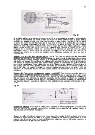 93
Fig. 29
Si el voltaje aplicado a las placas verticales (placas X) es incrementado lentamente, y luego reducido
de golpe e incrementado de nuevo, el rayo se mueve en forma continua hacia la placa positiva,
regresa a su posición anterior y se dirige otra vez hacia la placa positiva. La aplicación de un “voltaje
en diente de sierra” de este tipo hace que el rayo barra a través de la pantalla del tubo, siendo la
velocidad de barrido proporcional a la tasa de incremento del voltaje aplicado. Otro par de placas
(placas Y) están dispuestas horizontalmente, arriba y abajo, del haz. Los voltajes aplicados a estas
placas desvían el haz para arriba y para abajo conforme éste barre en la pantalla del tubo, y la
magnitud de la desviación vertical es proporcional a la diferencia de potencial entre las placas
horizontales. Cuando estas placas se conectan con electrodos en un nervio, los cambios del
potencial que ocurren en el nervio se registran como deflexiones verticales del haz a su paso a
través del tubo.
Registro con el ORC con axones únicos: con el ORC pueden demostrarse los fenómenos
eléctricos que ocurren en un nervio periférico aislado de algún animal de laboratorio. Sin embargo,
esta preparación contiene muchos axones y es importante poder estudiar las propiedades de un
solo axón. Los axones de mamíferos son relativamente pequeños (20 µm o menos de diámetro) y
son difíciles de separar del resto; pero existen células gigante no mielinizadas en cierto número de
especies de invertebrados. Tales células gigantes se encuentran en los cangrejos (Carcinus) y en la
jibia (Sepia); pero los más grandes axones conocidos se encuentran en el calamar (Loligo). La
región del cuello del manto muscular del calamar contiene axones únicos de hasta 1 mm de
diámetro. Las propiedades básicas de estos axones largaos son semejantes a la de los axones de
mamíferos.
Registro del Potencial de membrana en reposo con el ORC: Cuando se conectan los electrodos,
a través de un amplificador apropiado, a un ORC y se colocan sobre la superficie de un axón, no se
registra diferencia de potencial. Sin embargo, si un electrodo se inserta en el interior de la célula (Fig.
30), se observa una diferencia de potencial constante, siendo negativo el interior con respecto al
exterior mientras las células está en reposo. Este potencial de membrana en reposo se encuentra en
casi todas las células y su origen lo trataremos más adelante. En las neuronas por lo general es de –
70 mV.
Fig. 30
Periodo de latencia: Si el axón es estimulado y aparece un impulso propagado, se observa una
serie de cambios de potencial característicos, conocida como potencial de acción, cuando el
impulso pasa por el electrodo de registro.
Cuando se aplica el estímulo aparece una breve desviación irregular de la línea basal, el artefacto
del estímulo. Este artefacto se debe a la fuga de corriente de los electrodos estimulantes a los de
registro, y por lo general ocurre a pesar del aislamiento cuidadoso; pero es útil porque marca en la
pantalla el momento de que se aplica el estímulo.
 