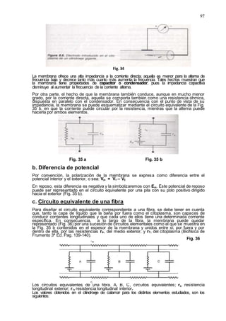 97
Fig. 34
La membrana ofrece una alta impedancia a la corriente directa, aquella es menor para la alterna de
frecuencia baja y decrece tanto más cuanto más aumenta la frecuencia. Tales hechos muestran que
la membrana tiene propiedades de capacitor o condensador, pues la impedancia capacitiva
disminuye al aumentar la frecuencia de la corriente alterna.
Por otra parte, el hecho de que la membrana también conduce, aunque en mucho menor
grado, por la corriente directa, aquella se comporta también como una resistencia óhmica,
dispuesta en paralelo con el condensador. En consecuencia con el punto de vista de su
impedancia, la membrana se puede esquematizar mediante el circuito equivalente de la Fig.
35 b, en que la corriente puede circular por la resistencia, mientras que la alterna puede
hacerla por ambos elementos.
Fig. 35 a Fig. 35 b
b. Diferencia de potencial
Por convención, la polarización de la membrana se expresa como diferencia entre el
potencial interior y el exterior, o sea: Vm = V1 – V2
En reposo, esta diferencia es negativa y la simbolizaremos con Em. Este potencial de reposo
puede ser representado en el circuito equivalente por una pila con su polo positivo dirigido
hacia el exterior (Fig. 35 b).
c. Circuito equivalente de una fibra
Para diseñar el circuito equivalente correspondiente a una fibra, se debe tener en cuenta
que, tanto la capa de líquido que la baña por fuera como el citoplasma, son capaces de
conducir corrientes longitudinales y que cada uno de ellos tiene una determinada corriente
específica. En consecuencia, a lo largo de la fibra, la membrana puede quedar
representado (Fig. 36) por una sucesión de circuitos elementales como el que se muestra en
la Fig. 35 b contenidos en el espesor de la membrana y unidos entre sí, por fuera y por
dentro de ella, por las resistencias ro, del medio exterior, y r1, del citoplasma (Biofísica de
Frumento 3ª Ed. Pag. 139-140).
Fig. 36
Los circuitos equivalentes de una fibra. A, B, C, circuitos equivalentes; ro, resistencia
longitudinal exterior; r1, resistencia longitudinal interior.
Los valores obtenidos en el cilindroeje de calamar para los distintos elementos estudiados, son los
siguientes:
 