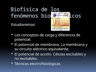 Overview In Biophysics Comprehensive Overview of Biophysics: Principles and Applications in ...