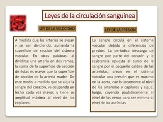 Leyes de la circulación sanguínea
LEY DE LA VELOCIDAD LEY DE LA PRESION
A medida que las arterias se alejan
y se van dividiendo, aumenta la
superficie de sección del sistema
vascular. En otras palabras, al
dividirse una arteria en dos ramas,
la suma de la superficie de sección
de éstas es mayor que la superficie
de sección de la arteria madre. De
este modo, a medida que se aleja la
sangre del corazón, va ocupando un
lecho cada vez mayor, y tiene su
amplitud máxima al nivel de los
capilares.
La sangre circula en el sistema
vascular debido a diferencias de
presión. La periódica descarga de
sangre por parte del corazón y la
resistencia opuesta al curso de la
sangre por el pequeño calibre de las
arteriolas, crean en el sistema
vascular una presión que es máxima
en la aorta, cae bruscamente al nivel
de las arteriolas y capilares y sigue,
luego, cayendo paulatinamente al
nivel de las venas para ser mínima al
nivel de las aurículas
 