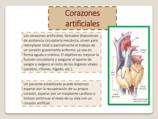 Corazones
artificiales
Los corazones artificiales, llamados dispositivos
de asistencia circulatoria mecánica, sirven para
reemplazar total o parcialmente el trabajo de
un corazón gravemente enfermo, ya sea en
forma aguda o crónica. El objetivo es mejorar la
función circulatoria y asegurar el aporte de
sangre y oxígeno al resto de los órganos vitales
(cerebro, riñones, hígado, etc.).
Un paciente estabilizado puede entonces
esperar por la recuperación de su propio
corazón, esperar por un trasplante cardíaco o
incluso continuar el resto de su vida con un
corazón artificial.
 