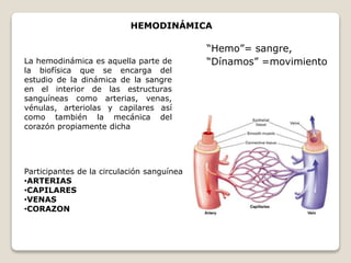 HEMODINÁMICA
La hemodinámica es aquella parte de
la biofísica que se encarga del
estudio de la dinámica de la sangre
en el interior de las estructuras
sanguíneas como arterias, venas,
vénulas, arteriolas y capilares así
como también la mecánica del
corazón propiamente dicha
Participantes de la circulación sanguínea
•ARTERIAS
•CAPILARES
•VENAS
•CORAZON
“Hemo”= sangre,
“Dínamos” =movimiento
 