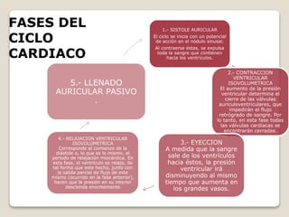FASES DEL
CICLO
CARDIACO
1.- SISTOLE AURICULAR
El ciclo se inicia con un potencial
de acción en el nódulo sinusal.
Al contraerse éstas, se expulsa
toda la sangre que contienen
hacia los ventrículos.
2.- CONTRACCION
VENTRICULAR
ISOVOLUMETRICA
El aumento de la presión
ventricular determina el
cierre de las válvulas
auriculoventriculares, que
impedirán el flujo
retrógrado de sangre. Por
lo tanto, en esta fase todas
las válvulas cardiacas se
encontrarán cerradas.
3.- EYECCION
A medida que la sangre
sale de los ventrículos
hacia éstos, la presión
ventricular irá
disminuyendo al mismo
tiempo que aumenta en
los grandes vasos.
4.- RELAJACION VENTRICULAR
ISOVOLUMETRICA
Corresponde al comienzo de la
diástole o, lo que es lo mismo, al
periodo de relajación miocárdica. En
esta fase, el ventrículo se relaja, de
tal forma que este hecho, junto con
la salida parcial de flujo de este
mismo (ocurrido en la fase anterior),
hacen que la presión en su interior
descienda enormemente
5.- LLENADO
AURICULAR PASIVO
.
 