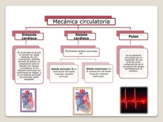 Mecánica circulatoria
Diástole
cardíaca
Es el período en el que
el corazón se relaja
después de una
contracción, llamado
período de sístole, en
preparación para el
llenado con sangre
circulatoria. En la
diástole ventricular los
ventrículos se relajan, y
en la diástole auricular
las aurículas están
relajadas.
Sístole
cardiaca
Movimiento cardiaco que puede
ser:
Sístole auricular: Es la
contracción del tejido
muscular cardiaco
auricular.
Sístole ventricular: Es
la contracción del tejido
muscular cardiaco
ventricular.
Pulso
Es la pulsación
provocada por la
expansión de sus
arterias como
consecuencia de la
circulación de sangre
bombeada por el
corazón.
 