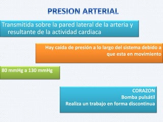 Transmitida sobre la pared lateral de la arteria y 
resultante de la actividad cardiaca 
Hay caída de presión a lo largo del sistema debido a 
que esta en movimiento 
80 mmHg a 130 mmHg 
CORAZON 
Bomba pulsátil 
Realiza un trabajo en forma discontinua 
 