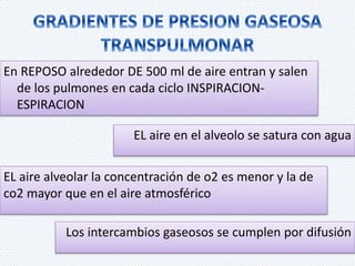 En REPOSO alrededor DE 500 ml de aire entran y salen 
de los pulmones en cada ciclo INSPIRACION-ESPIRACION 
EL aire en el alveolo se satura con agua 
EL aire alveolar la concentración de o2 es menor y la de 
co2 mayor que en el aire atmosférico 
Los intercambios gaseosos se cumplen por difusión 
 