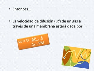 • Entonces… 
• La velocidad de difusión (vd) de un gas a 
través de una membrana estará dada por 
 