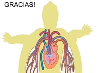 GRACIAS! 
