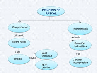 su 
Comprobación 
utilizando 
esfera hueca 
y un 
embolo 
Igual 
velocidad 
Igual 
presión 
la 
Interpretación 
Ecuación 
hidrostática 
Carácter 
incompresible 
causa 
derivada 
de 
y el 
 