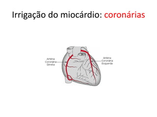 Irrigação do miocárdio: coronárias 
 