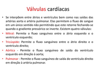 Válvulas cardíacas 
•Se interpõem entre átrios e ventrículos bem como nas saídas das artérias aorta e artéria pulmonar. Elas permitem o fluxo de sangue em um único sentido não permitindo que este retorne fechando-se quando o gradiente pressórico se inverte. Existem quatro válvulas: 
•Mitral: Permite o fluxo sanguíneo entre o átrio esquerdo e o ventrículo esquerdo; 
•Tricúspide: Permite o fluxo sanguíneo entre o átrio direito e o ventrículo direito; 
•Aórtica - Permite o fluxo sanguíneo de saída do ventrículo esquerdo em direção à aorta; 
•Pulmonar - Permite o fluxo sanguíneo de saída do ventrículo direito em direção à artéria pulmonar.  