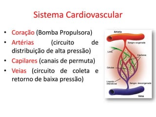 Sistema Cardiovascular 
•Coração (Bomba Propulsora) 
•Artérias (circuito de distribuição de alta pressão) 
•Capilares (canais de permuta) 
•Veias (circuito de coleta e retorno de baixa pressão)  