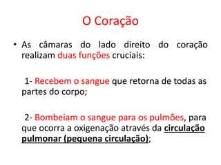 O Coração 
•As câmaras do lado direito do coração realizam duas funções cruciais: 
1- Recebem o sangue que retorna de todas as partes do corpo; 
2- Bombeiam o sangue para os pulmões, para que ocorra a oxigenação através da circulação pulmonar (pequena circulação); 
 