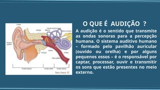A audição é o sentido que transmite
as ondas sonoras para a percepção
humana. O sistema auditivo humano
– formado pelo pavilhão auricular
(ouvido ou orelha) e por alguns
pequenos ossos – é o responsável por
captar, processar, ouvir e transmitir
os sons que estão presentes no meio
externo.
O QUE É AUDIÇÃO ?
 