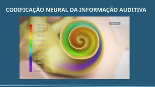 CODIFICAÇÃO NEURAL DA INFORMAÇÃO AUDITIVA
 