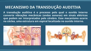 MECANISMO DA TRANSDUÇÃO AUDITIVA
A transdução auditiva é o processo pelo qual o ouvido interno
converte vibrações mecânicas (ondas sonoras) em sinais elétricos
que podem ser interpretados pelo cérebro. Esse mecanismo ocorre
na cóclea, uma estrutura em espiral localizada no ouvido interno.
 