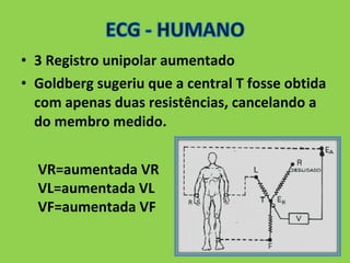 • 3 Registro unipolar aumentado 
• Goldberg sugeriu que a central T fosse obtida 
com apenas duas resistências, cancelando a 
do membro medido. 
VR=aumentada VR 
VL=aumentada VL 
VF=aumentada VF 
 