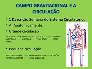 • 1 Descrição Sumária do Sistema Circulatório: 
• A) Anatomicamente: 
• Grande circulação 
• Pequena circulação 
 
