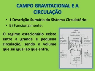 • 1 Descrição Sumária do Sistema Circulatório: 
• B) Funcionalmente: 
O regime estacionário existe 
entre a grande e pequena 
circulação, sendo o volume 
que sai igual ao que entra. 
 