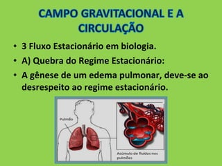 • 3 Fluxo Estacionário em biologia. 
• A) Quebra do Regime Estacionário: 
• A gênese de um edema pulmonar, deve-se ao 
desrespeito ao regime estacionário. 
 