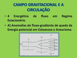 • 4 Energética de fluxo em Regime 
Estacionário. 
• A) Anomalias do fluxo-gradiente de queda da 
Energia potencial em Esteanose e Aneurisma. 
 