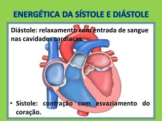 Diástole: relaxamento com entrada de sangue 
nas cavidades cardiacas. 
• Sístole: contração com esvaziamento do 
coração. 
 