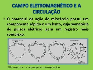 • O potencial de ação do miocárdio possui um 
componente rápido e um lento, cuja somatória 
de pulsos elétricos gera um registro mais 
complexo. 
000= carga zero, ---= carga negativa, +++=carga positiva 
 
