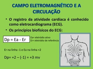• O registro da atividade cardíaca é conhecido 
como eletrocardiograma (ECG). 
• Os princípios biofísicos do ECG: 
Dp = Ea - Er Ea= eletródio ativo 
Er= eletródio de referência 
Er na linha -1 e Ea na linha +2 
Dp= +2 – (-1) = +3 mv 
 