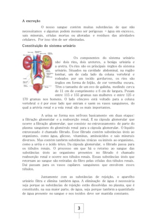 3
A excreção
O nosso sangue contém muitas substâncias de que não
necessitamos e algumas podem mesmo ser perigosas - água em excesso,
sais minerais, células mortas ou alteradas e resíduos das atividades
celulares. Por isso têm de ser eliminadas.
Constituição do sistema urinário
Os componentes do sistema urinário
são: dois rins, dois ureteres, a bexiga urinária e
a uretra. Os rins são os principais órgãos do sistema
urinário. Situados na cavidade abdominal, na região
lombar, um de cada lado da coluna vertebral e
rodeados por um tecido gorduroso, os rins são
órgãos em forma de feijão, de cor vermelha escura.
Têm o tamanho de um ovo de galinha, medindo cerca
de 11 cm de comprimento e 6 cm de largura. Pesam
entre 115 e 155 gramas nas mulheres e entre 125 e
170 gramas nos homens. O lado côncavo está voltado para a coluna
vertebral e é por esse lado que entram e saem os vasos sanguíneos, do
qual a artéria renal e a veia renal são os mais importantes.
A urina se forma nos néfrons basicamente em duas etapas:
a filtração glomerular e a reabsorção renal. É na cápsula glomerular que
ocorre a filtração glomerular, que consiste no extravasamento de parte do
plasma sanguíneo do glomérulo renal para a cápsula glomerular. O líquido
extravasado é chamado filtrado. Esse filtrado contém substâncias úteis ao
organismo, como água, glicose, vitaminas, aminoácidos e sais minerais
diversos. Mas contém também substâncias tóxicas ou inúteis ao organismo,
como a uréia e o ácido úrico. Da cápsula glomerular, o filtrado passa para
os túbulos renais. O processo em que há o retorno ao sangue das
substâncias úteis ao organismo presentes no filtrado é chamado
reabsorção renal e ocorre nos túbulos renais. Essas substâncias úteis que
retornam ao sangue são retiradas do filtro pelas células dos túbulos renais.
Daí passam para os vasos capilares sanguíneos que envolvem esses
túbulos.
Juntamente com as substâncias de rejeição, o aparelho
urinário filtra e elimina também água. A eliminação de água é necessária
seja porque as substâncias de rejeição estão dissolvidas no plasma, que é
constituído, na sua maior parte, de água, seja porque também a quantidade
de água presente no sangue e nos tecidos deve ser mantida constante.
 